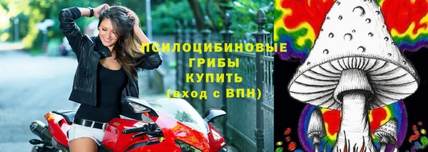 гашиш Богородск